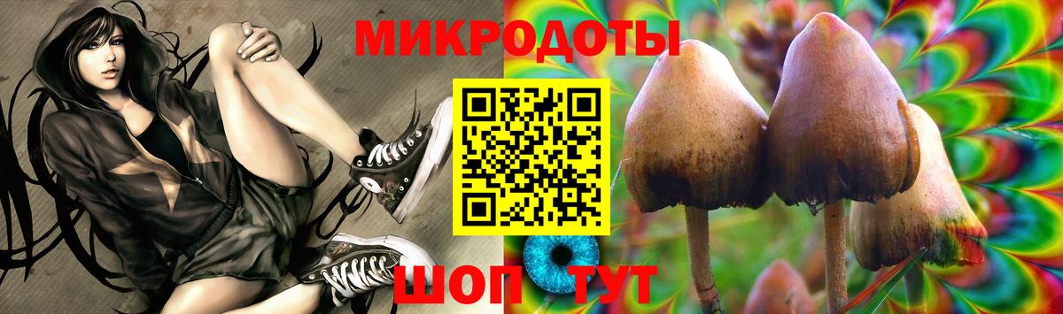 Псилоцибиновые грибы прущие грибы  Вход с VPN  Зима  Галлюциногенные грибы мицелий 